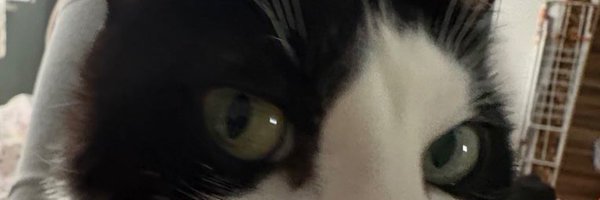 cekucatt Profile Banner