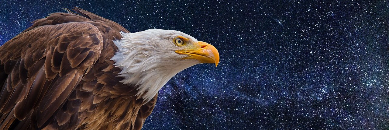 williamjesus_7's profile banner image