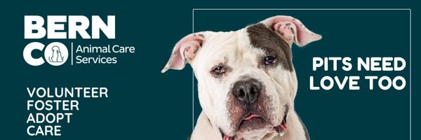 BernCo_Animal Profile Banner