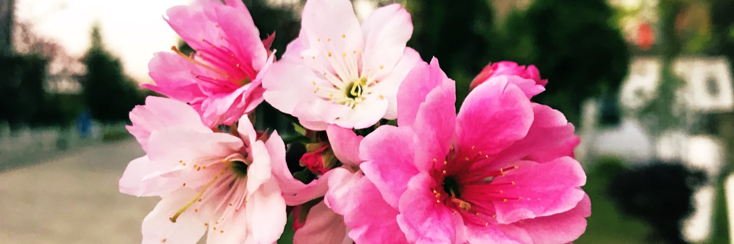_JiggYPuFF_'s profile banner image