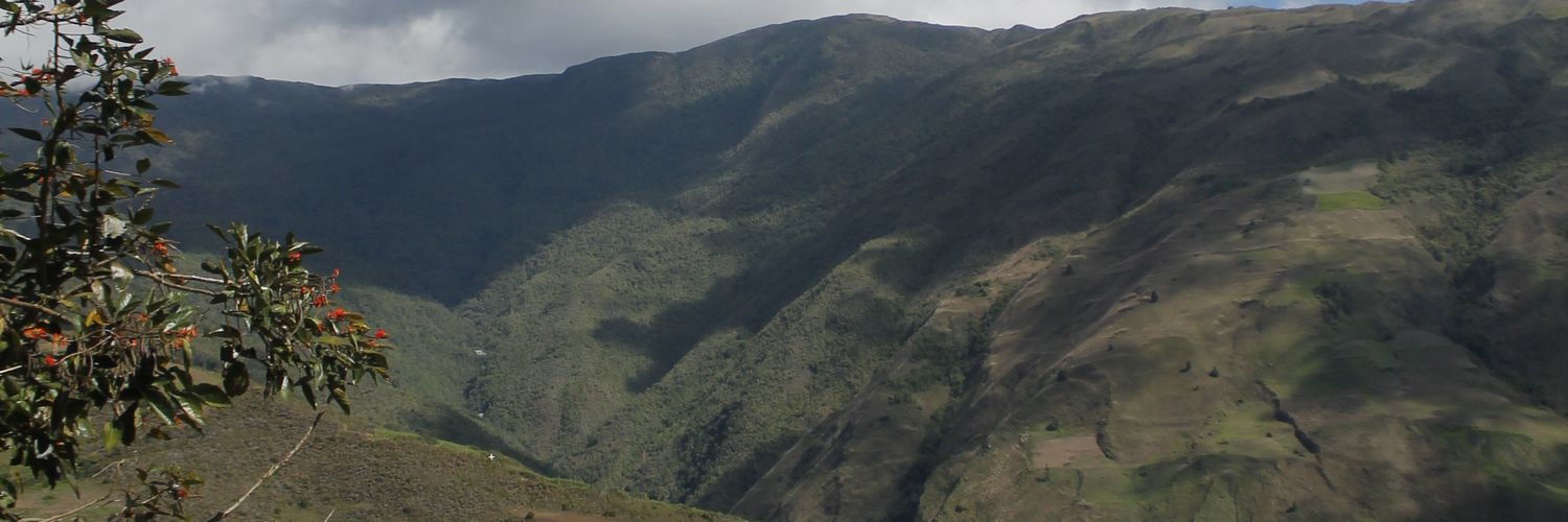 Kalu banner