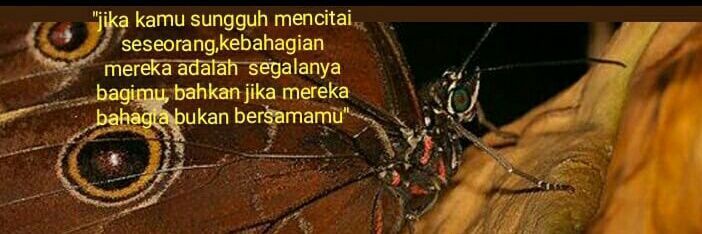26kosasih's profile banner image