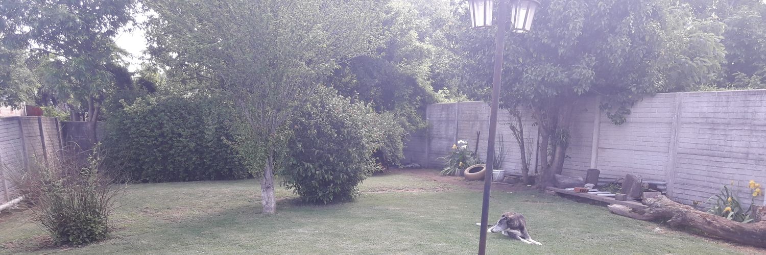 вспышка идет banner