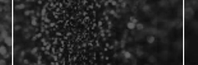 . banner