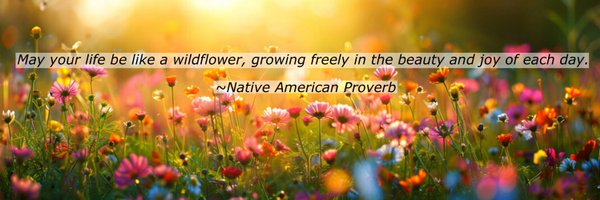 aitchelvee Profile Banner