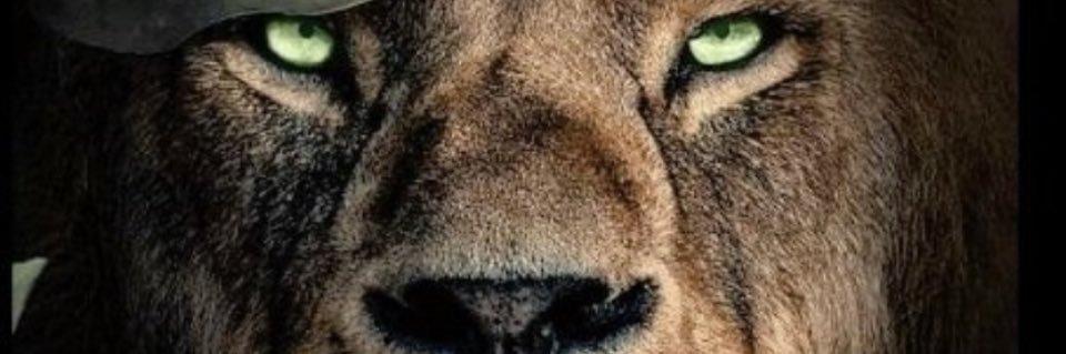 JimmyPhill43494's profile banner image