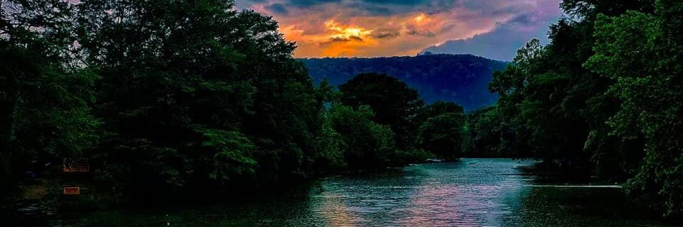 terri zearfoss banner