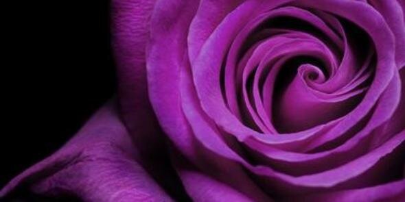 WMmoja's profile banner image