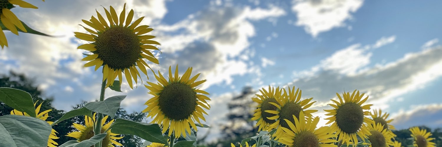 𝓡🎀 banner