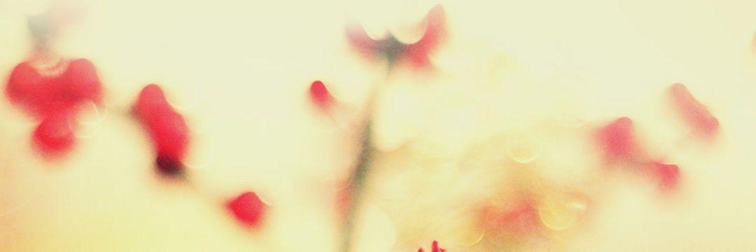 Ta88D's profile banner image