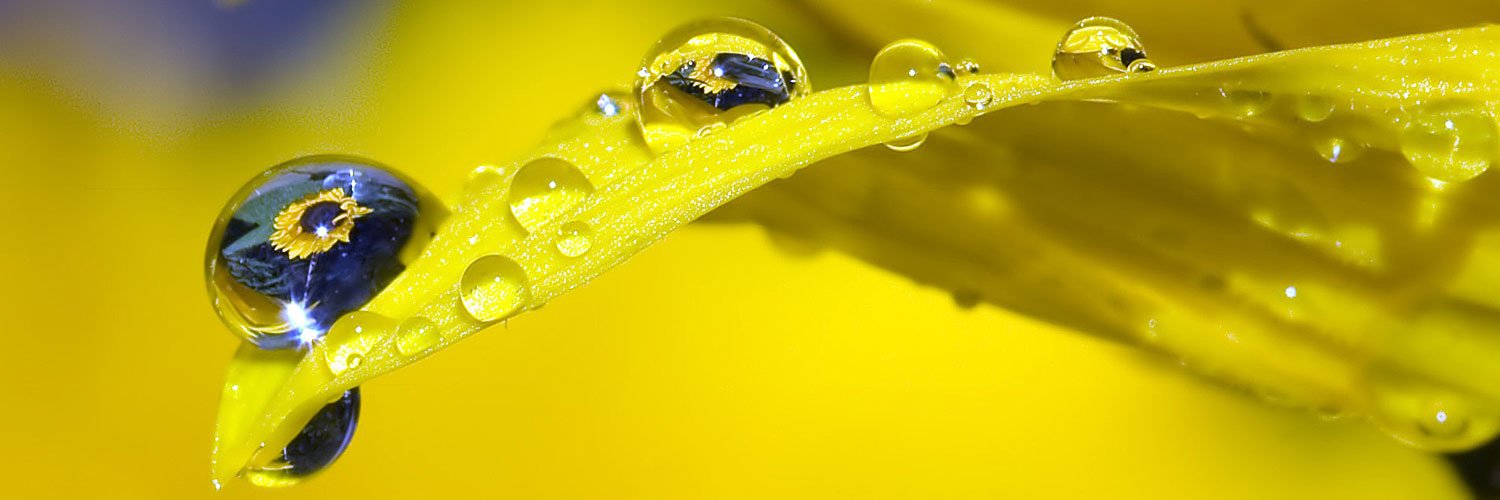RJPEdwards's profile banner image