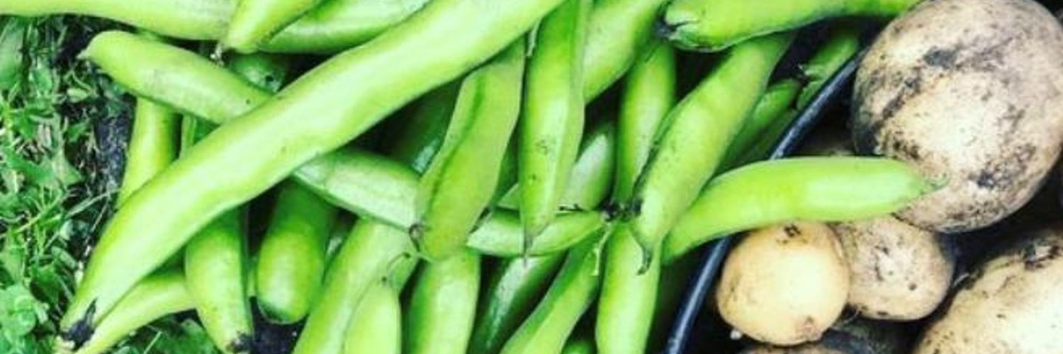 Edible Edinburgh banner