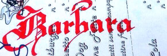 barbara.turcolin banner