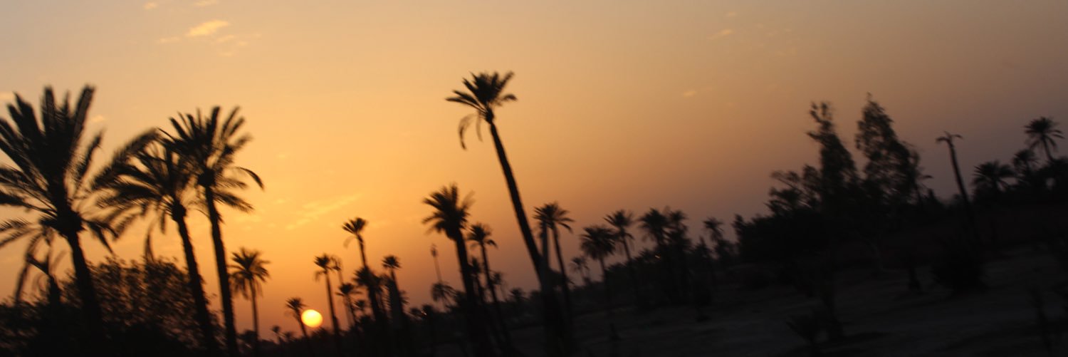 neomizeitoun's profile banner image
