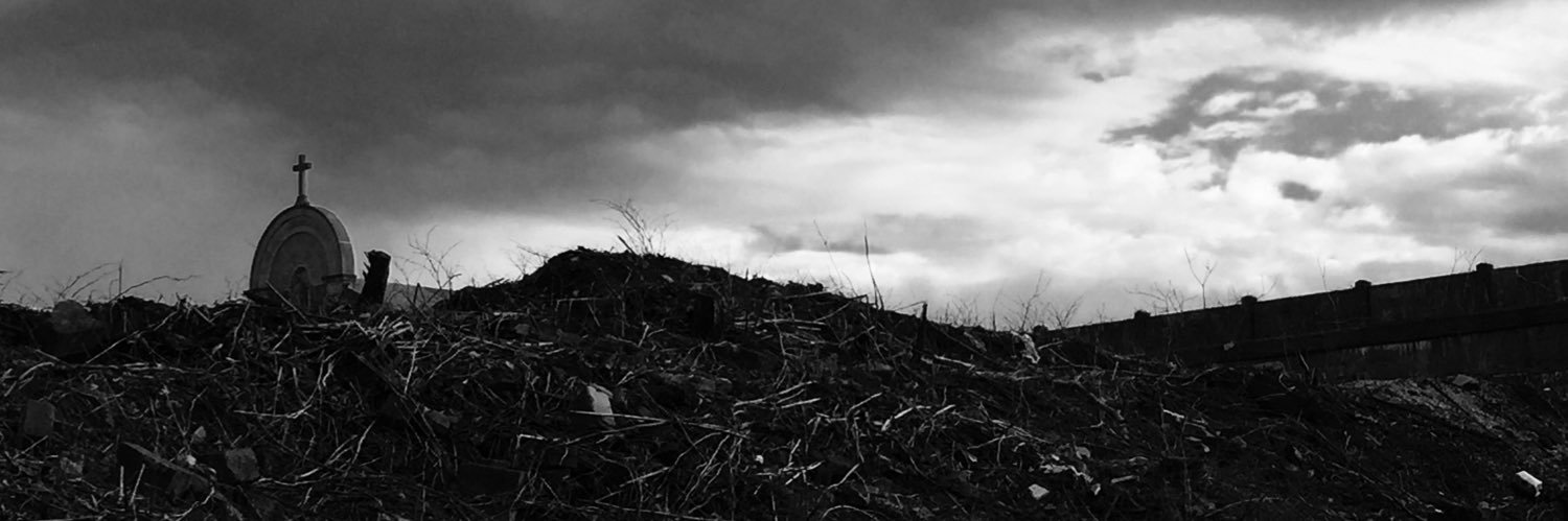 cmoraff's profile banner image