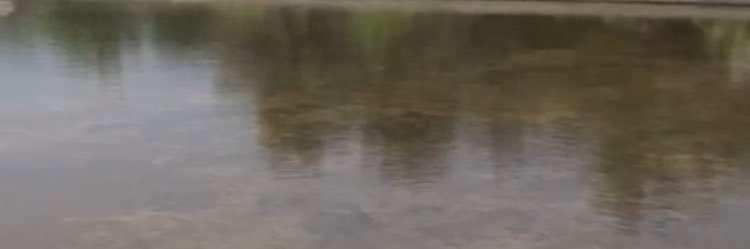 snkr555's profile banner image