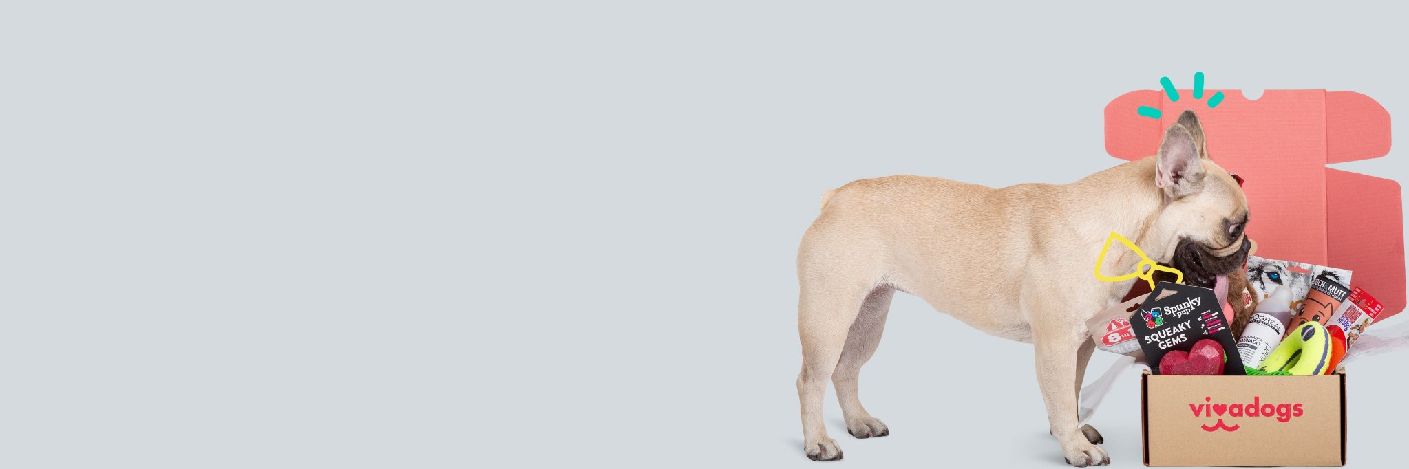 vivadogsES's profile banner image