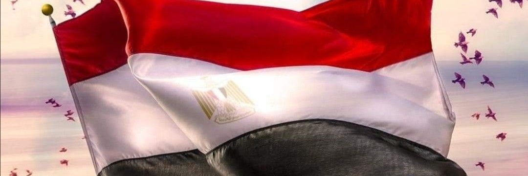 DĨNA🦋𓂧𓇋𓈖𓄿🇪🇬's banner