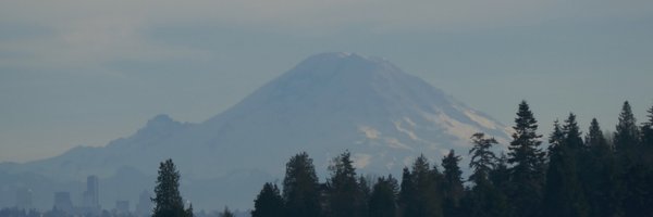 emilymbender Profile Banner