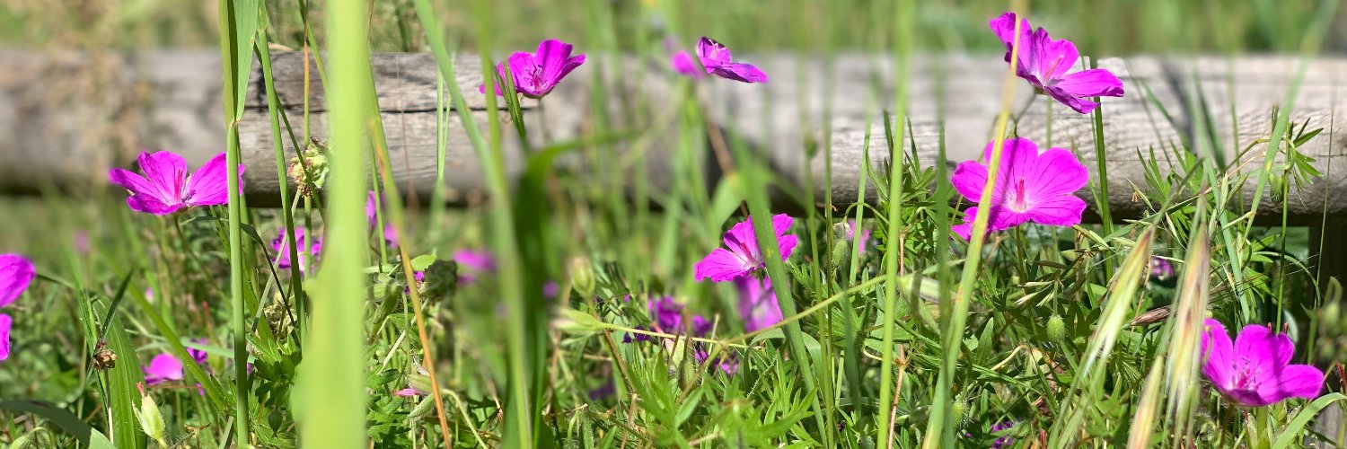 Uxune Martinez banner