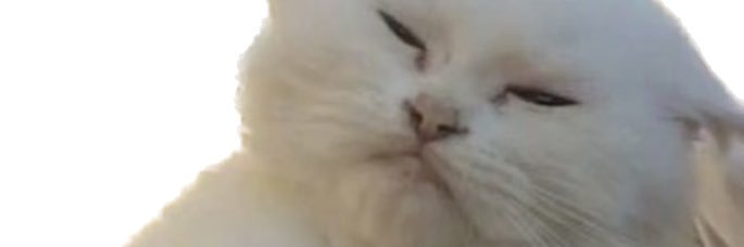 kurathecat's profile banner image