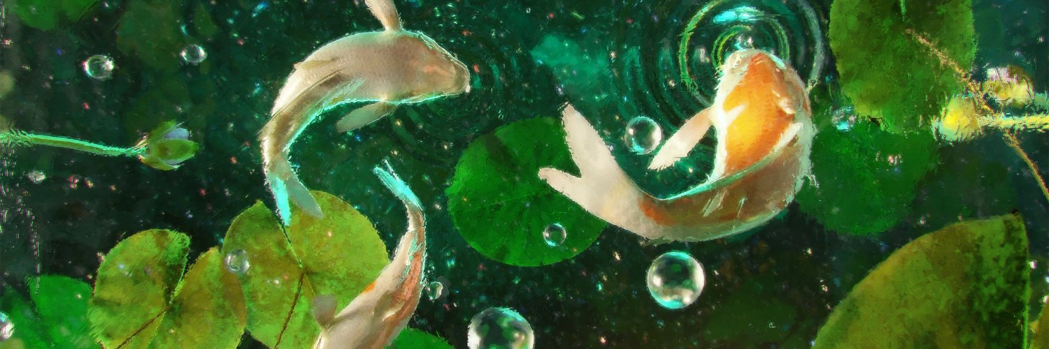 hawstudio's profile banner image