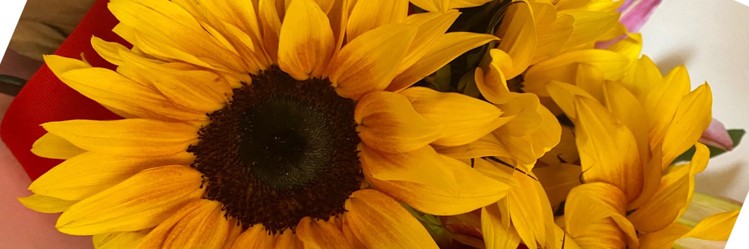 Daniela Mendoza banner