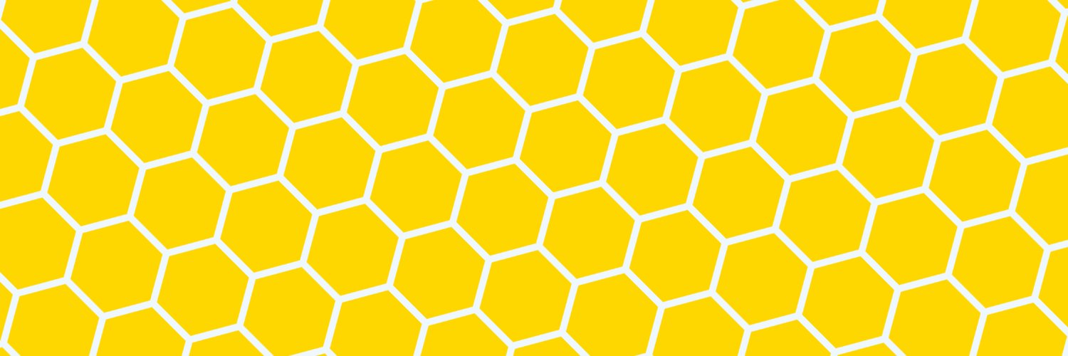 flybeebug's profile banner image