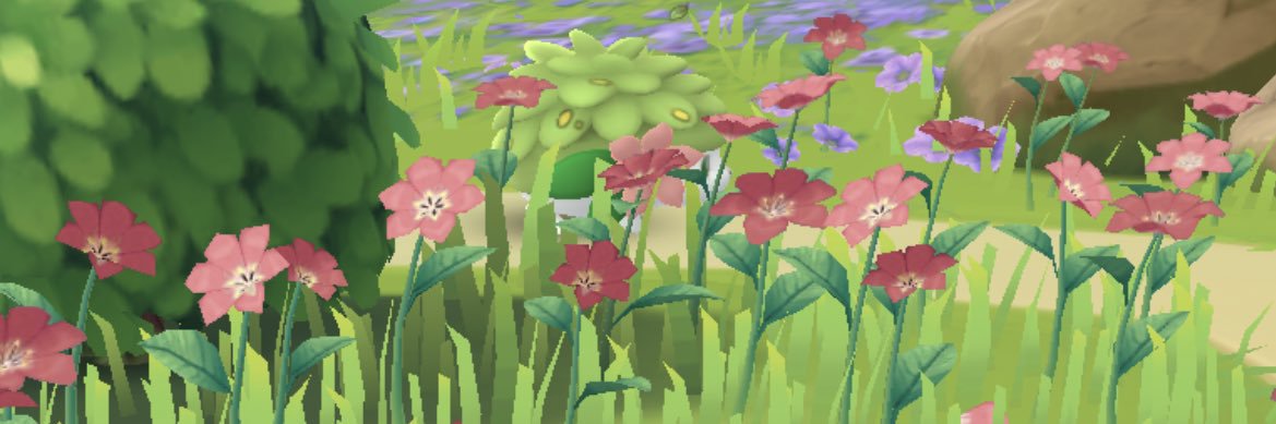 たーちゃん banner