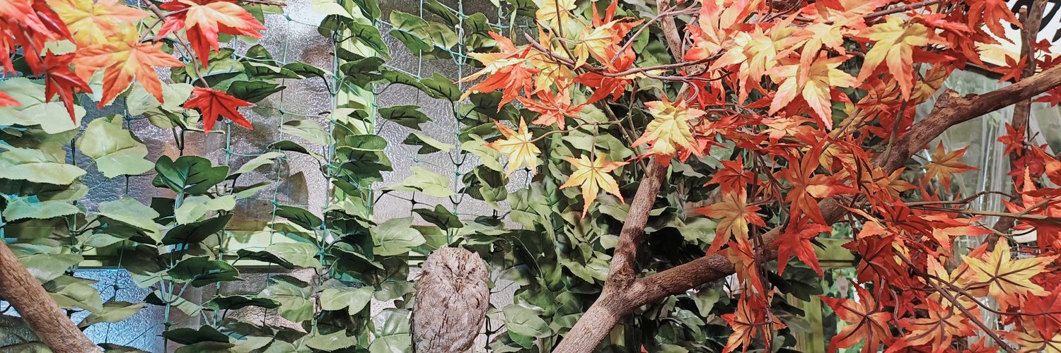 VYNN ｡⁠*ﾟ⁠+ 🔞 🦉🌱 banner
