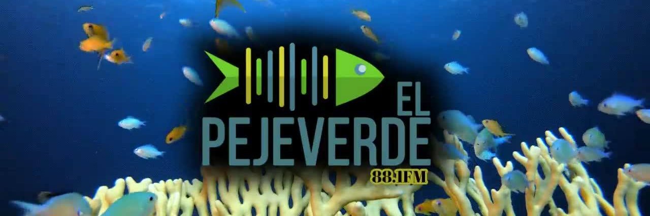El_Pejeverde's profile banner image