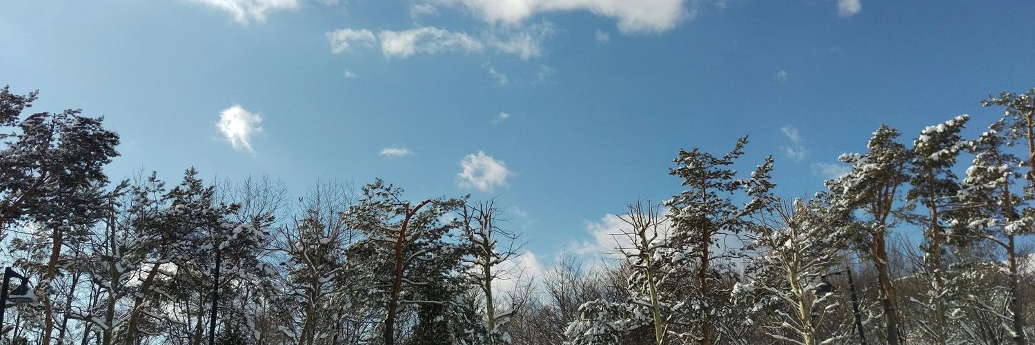 abbyojo1997's profile banner image