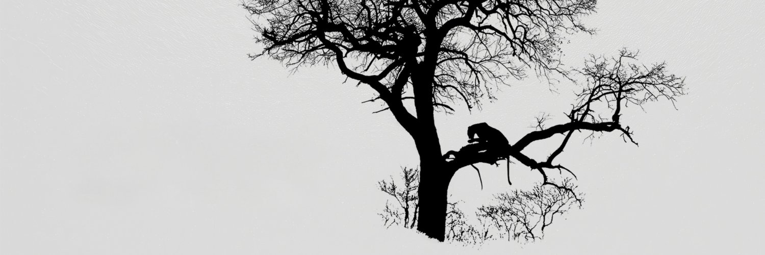 apkossowski's profile banner image