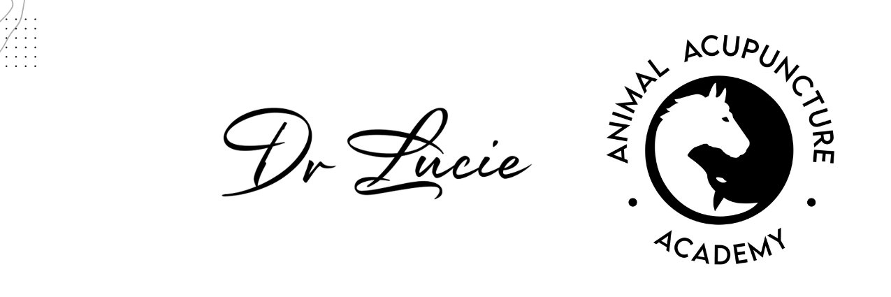 LucieMBland's profile banner image