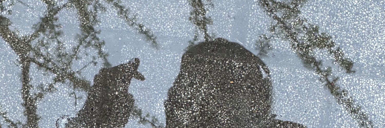 GoMustLove's profile banner image