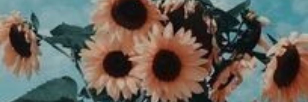 Laura_MariaE's profile banner image