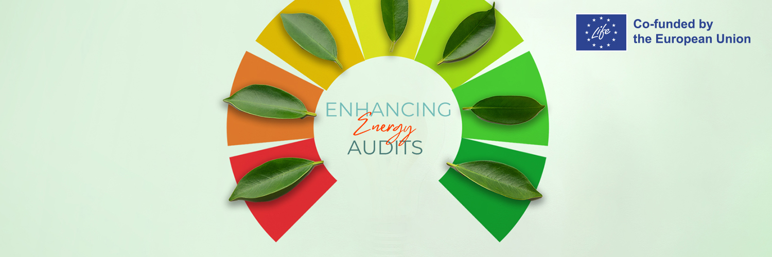 Audit Plus Project's banner