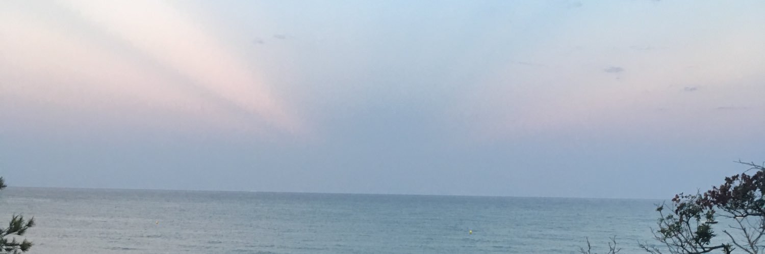 catisoto22's profile banner image