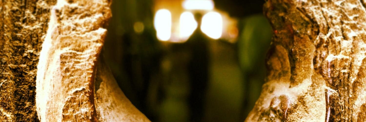 innovatedeviate's profile banner image