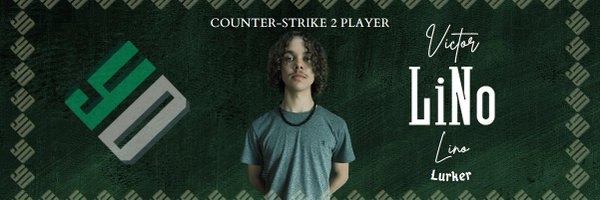 LiNoCS2 Profile Banner