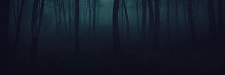 SEVENST4RNIGHT's profile banner image