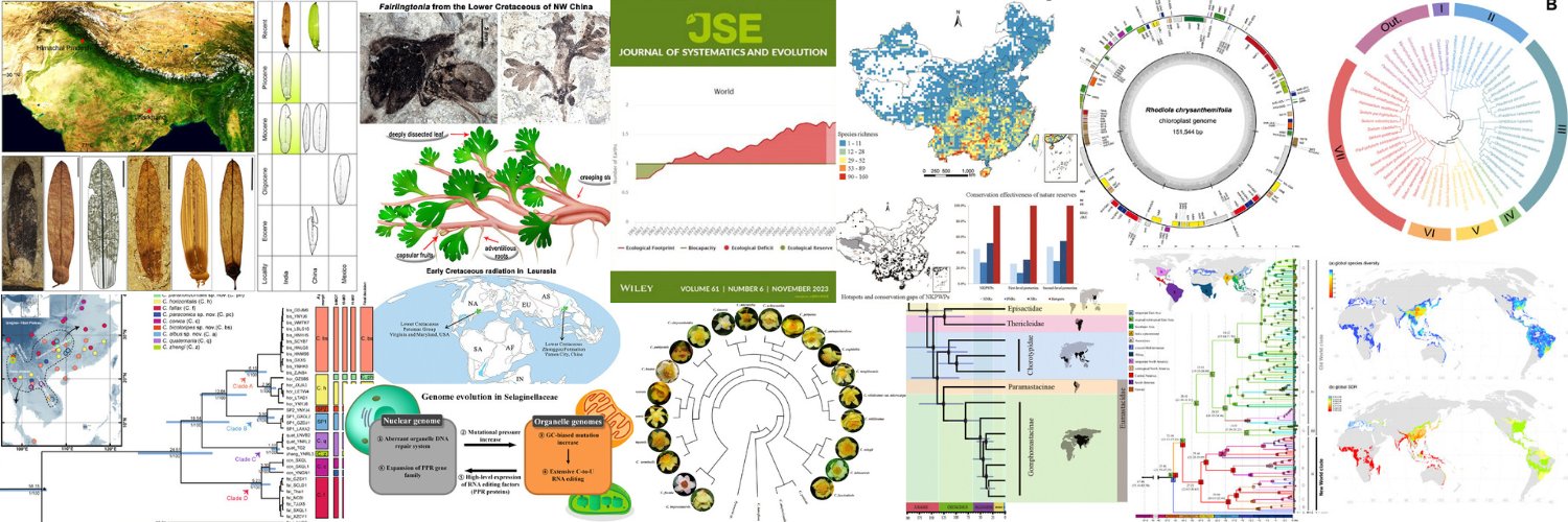 JSE's banner