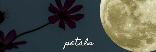 Jegos212's profile banner image