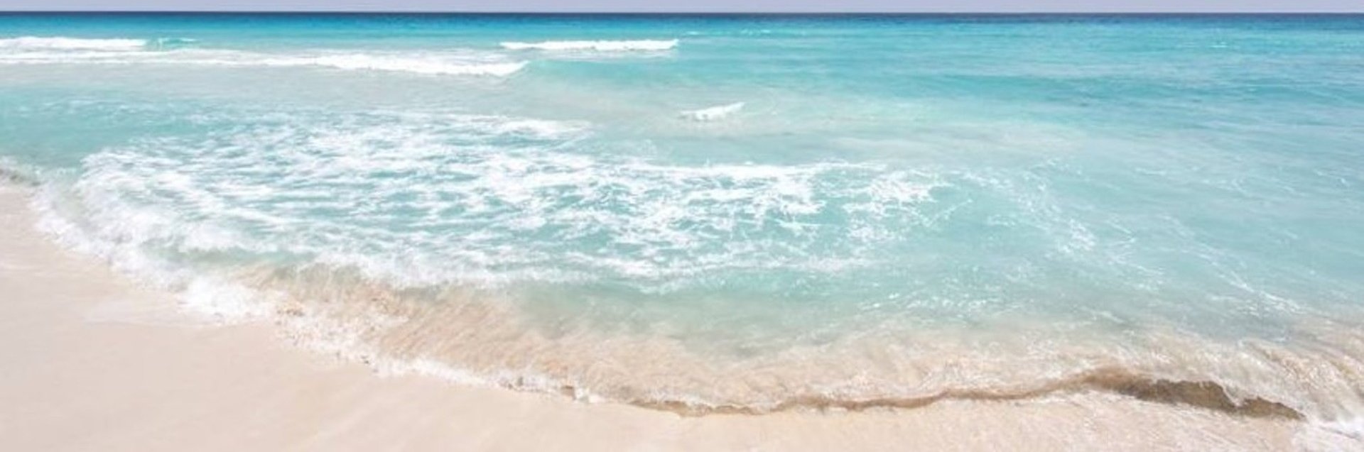 DinaGiovale's profile banner image