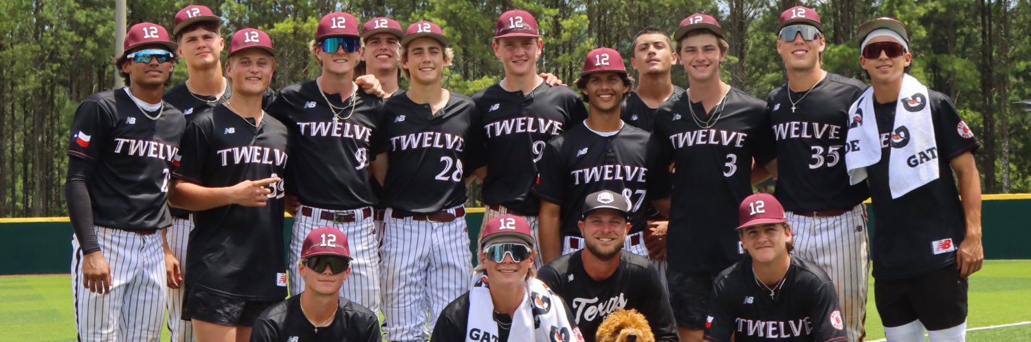 Christian Ferrier banner