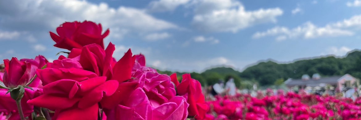 mi_k1820's profile banner image