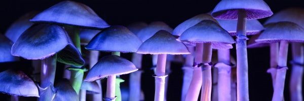 Ξεσκιταλοπράμη (tsipralex) banner