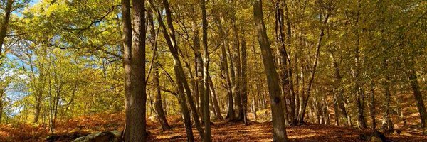 SVemc Profile Banner