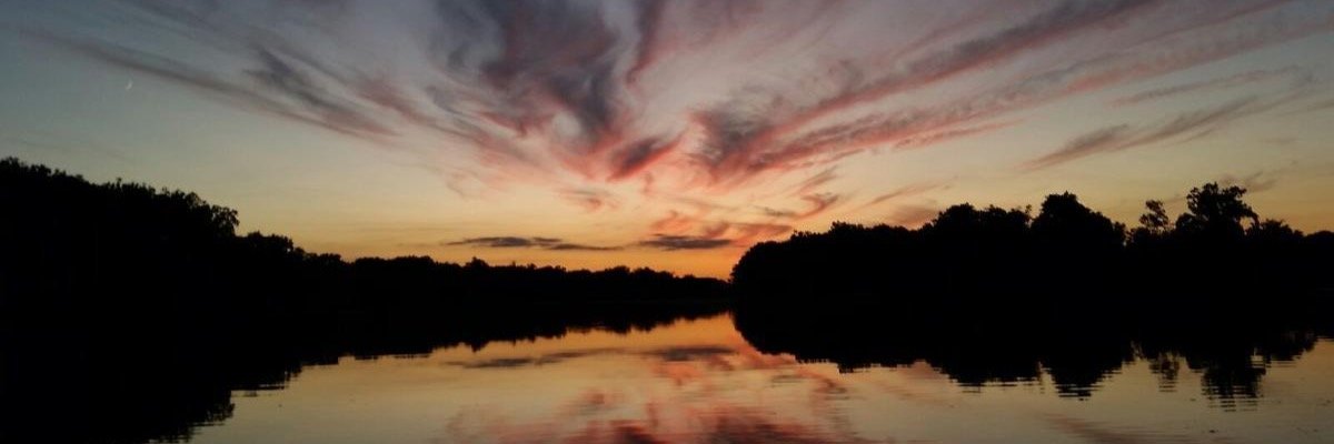 KayliMurphy's profile banner image