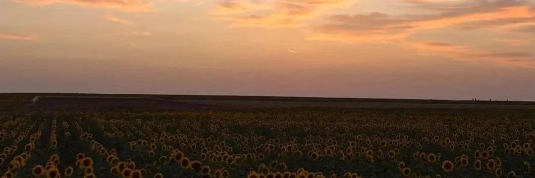 leyreesir's profile banner image